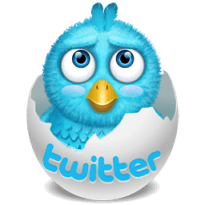 A noob twitter hatchling, uh, hatches.