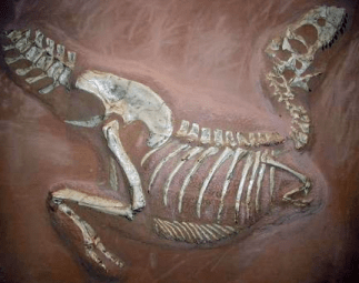 The final scene of my book: an artist's impression (image from Wiki commons)