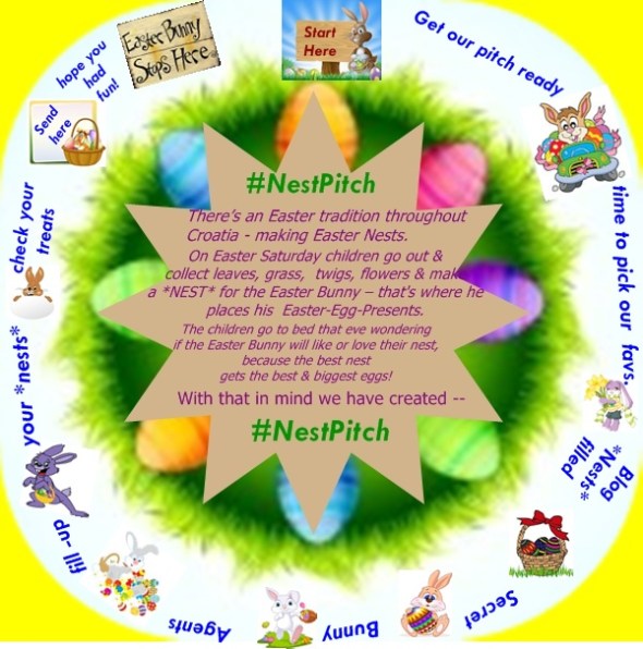 Drafy Nest Pich Logo last stage