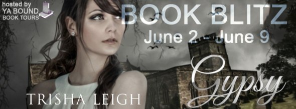 Gypsy-Blitz banner