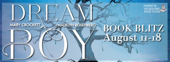 DREAM-BOY banner