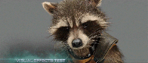 Racoon GotG