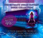 Shadows and Spellcraft_teaser4